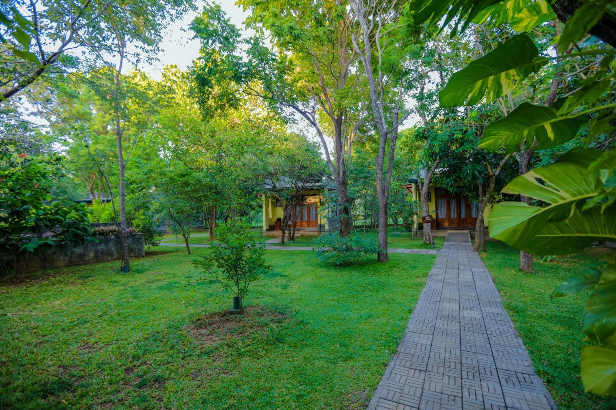 Sigiri Asna Nature Resort Sigiriya Exterior photo