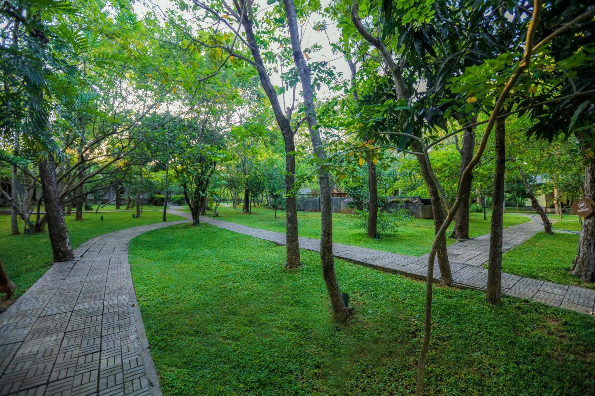 Sigiri Asna Nature Resort Sigiriya Exterior photo