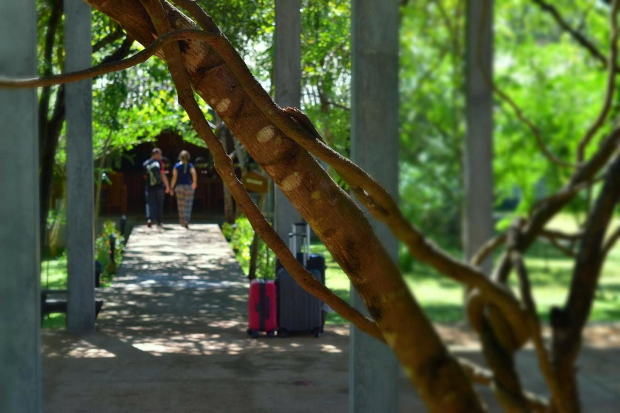 Sigiri Asna Nature Resort Sigiriya Exterior photo